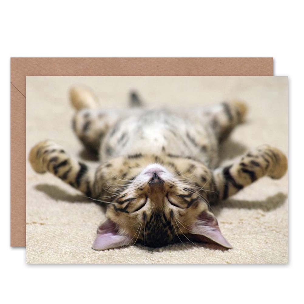 Supine Cute Sleeping Kitten Cat Greeting Card