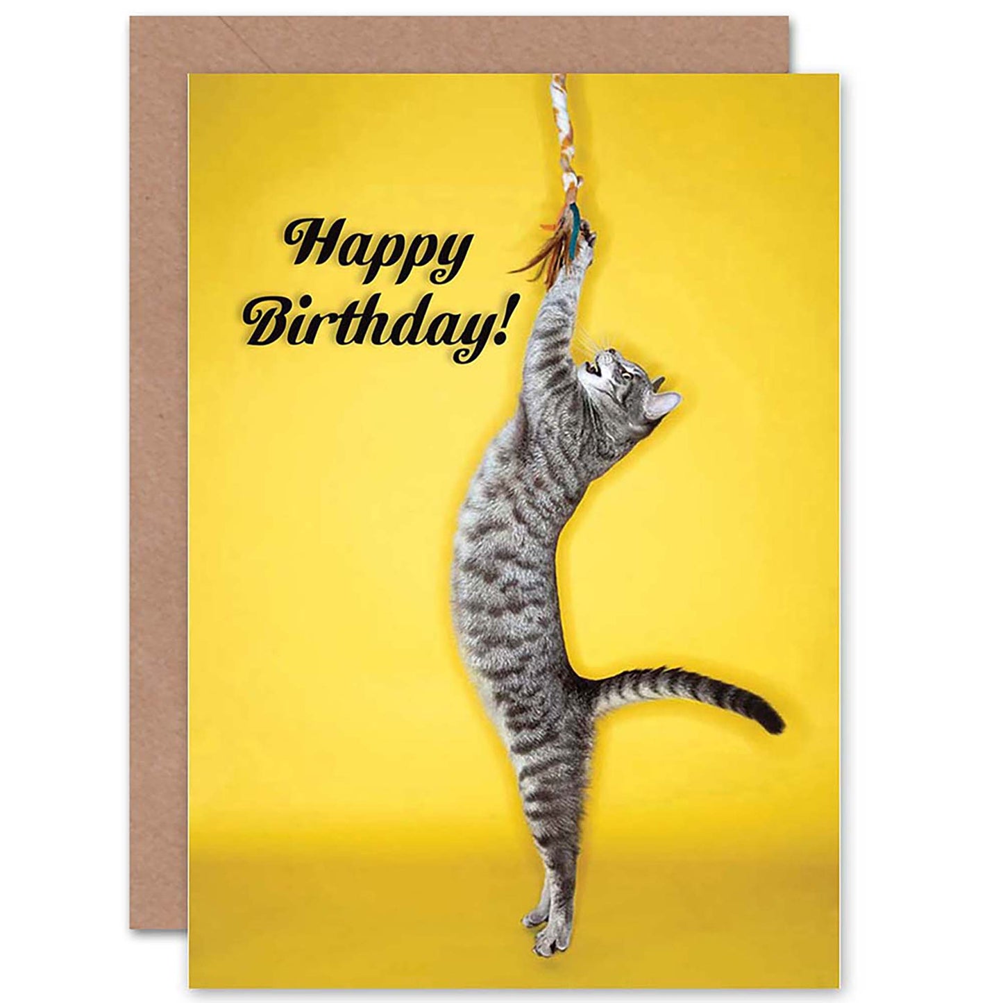 Playful Cat Lover Pet Tabby Yellow Happy Birthday Card