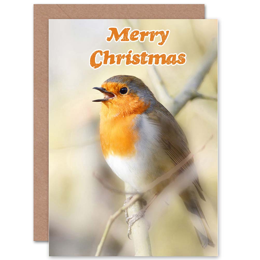 Red Breast Robin Bird Christmas Card