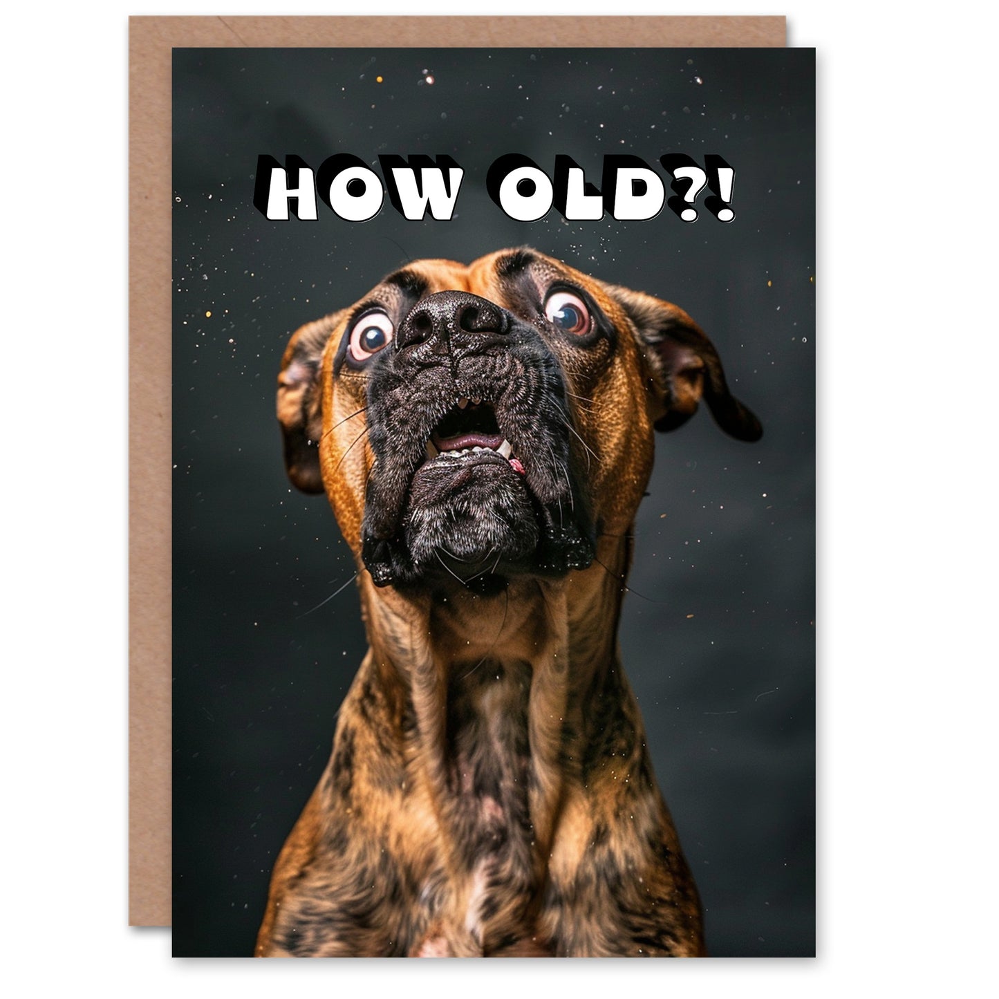 Birthday Card Shocked Boxer Dog Photo How Old Funny Joke Cheeky
