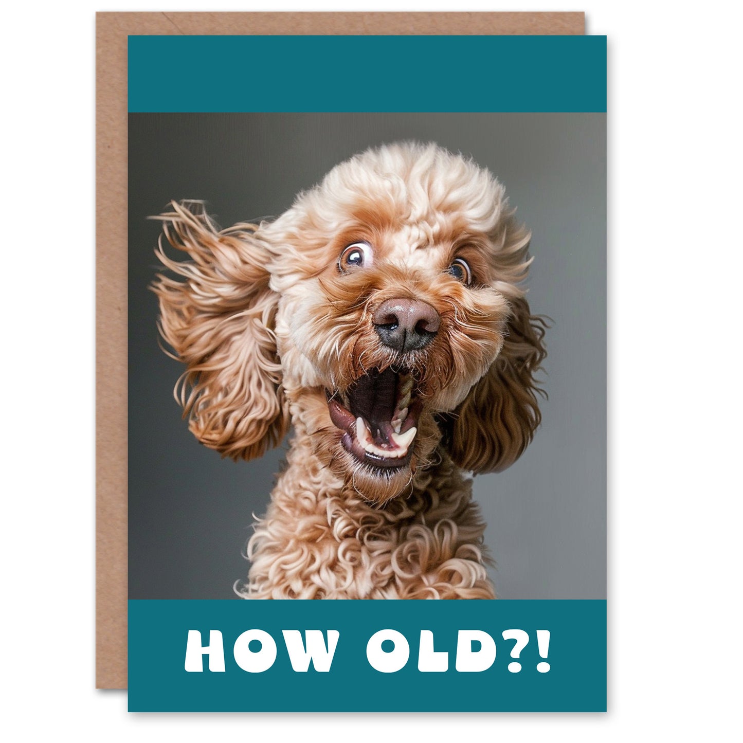Birthday Card Surprised Cockapoo Dog Photo How Old Funny Joke