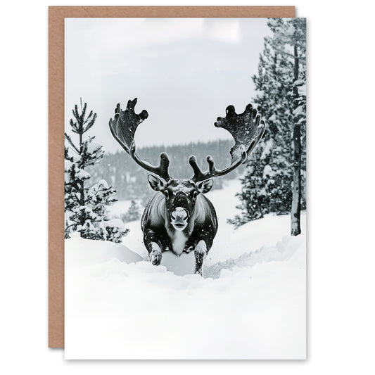 Reindeer Black White Winter Forest Snow Xmas Christmas Card
