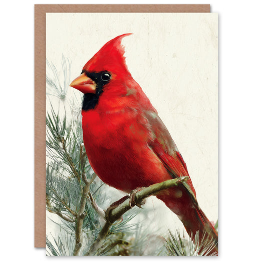 Christmas Card Red Cardinal Bird Perched on Pine Tree Branch