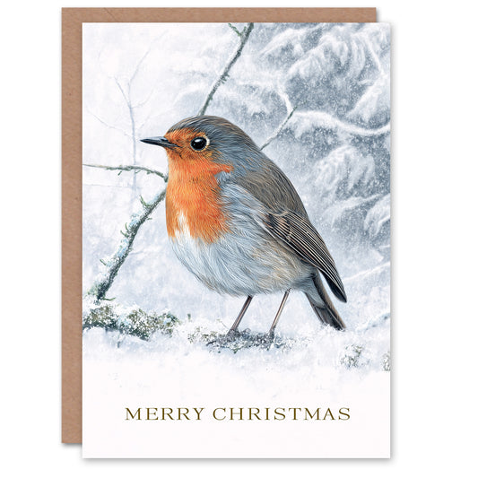 Christmas Card Robin Bird on Snowy Tree Branch Painting