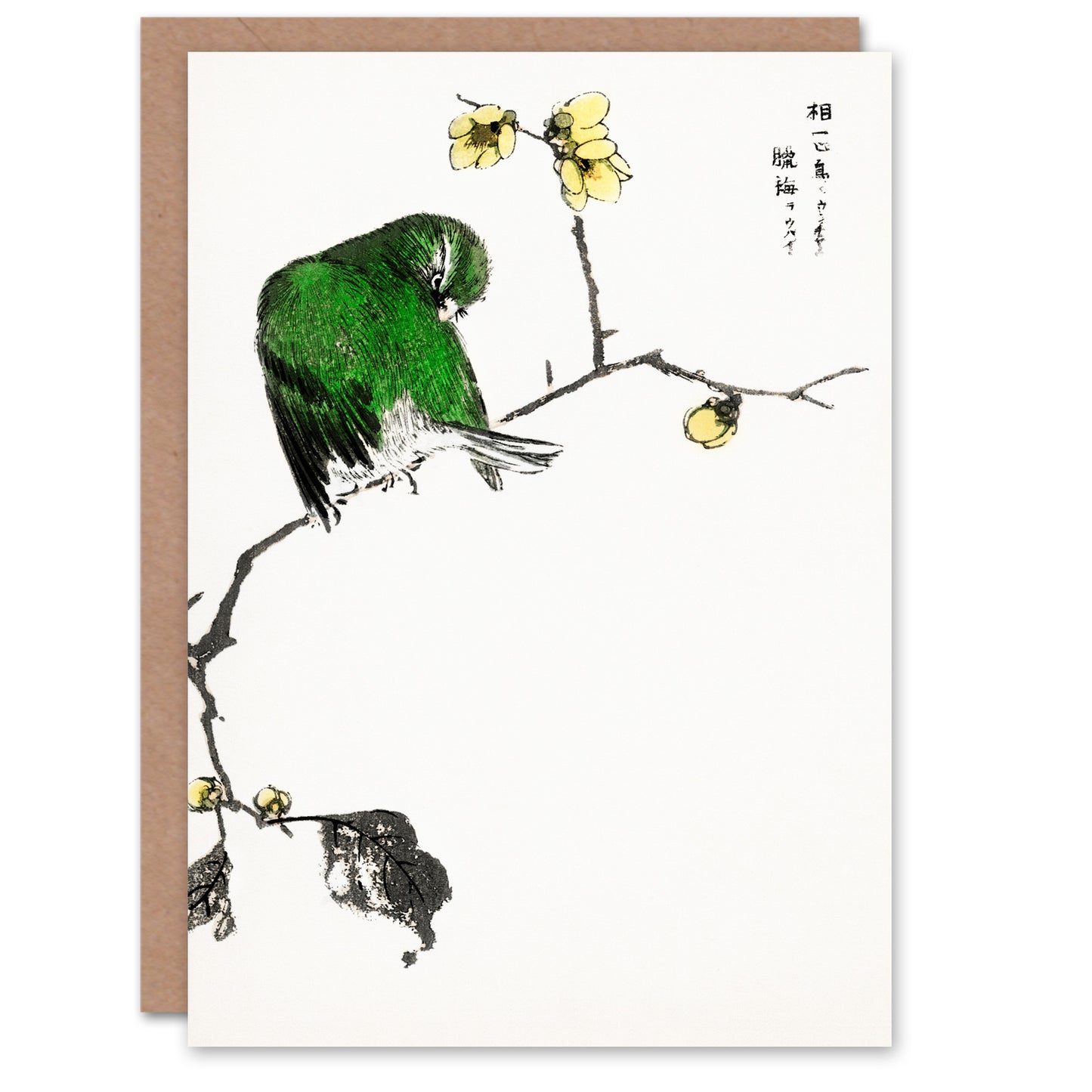 Numata Kashu Fairy Pitta and Japanese Allspice Greetings Card