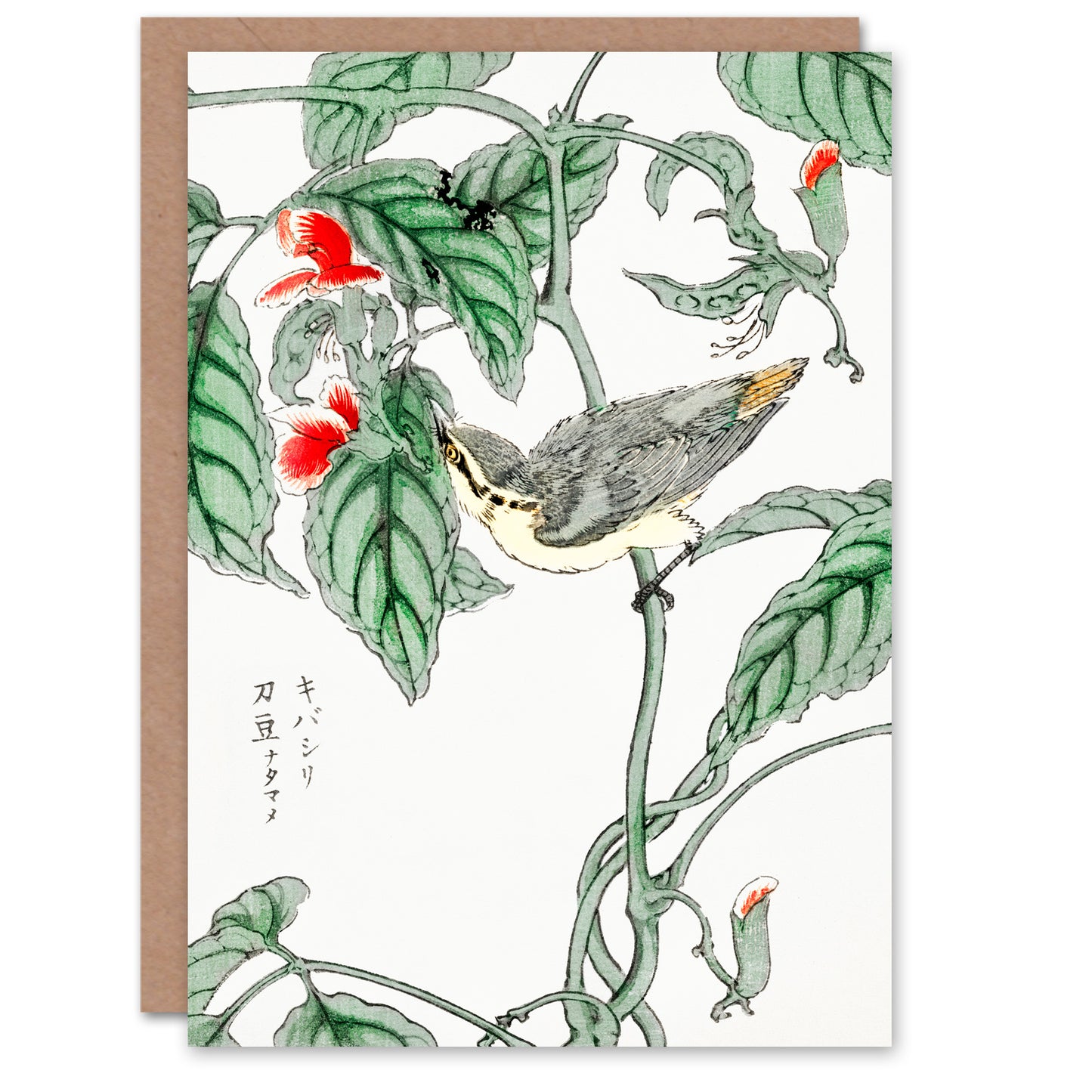 Numata Kashu Tree Creeper and Pea Japanese Greetings Card