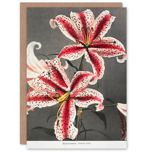 Ogawa Kazumasa Japanese Pink Spotted Lily Flower Blooms Greetings Card