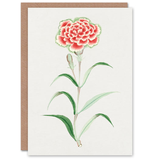 Vintage Japanese Botanical Carnation Flower Greetings Card