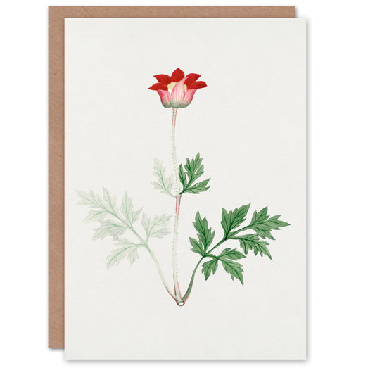 Vintage Japanese Botanical Red Bloom Flower Greetings Card