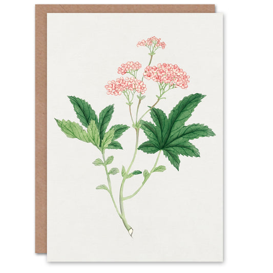 Vintage Japanese Botanical Shimotsuke Flower Greetings Card