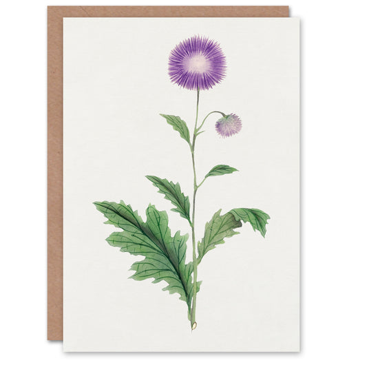 Vintage Japanese Botanical Thistle Flower Greetings Card