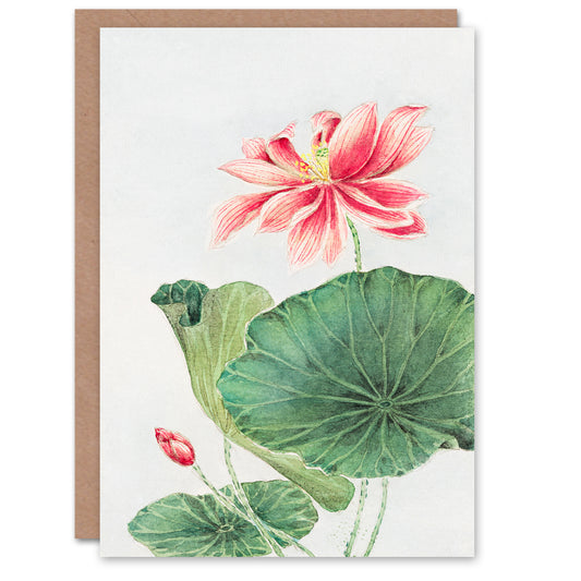 Megata Morikaga Blooming Lotus Flower Botanical Greetings Card