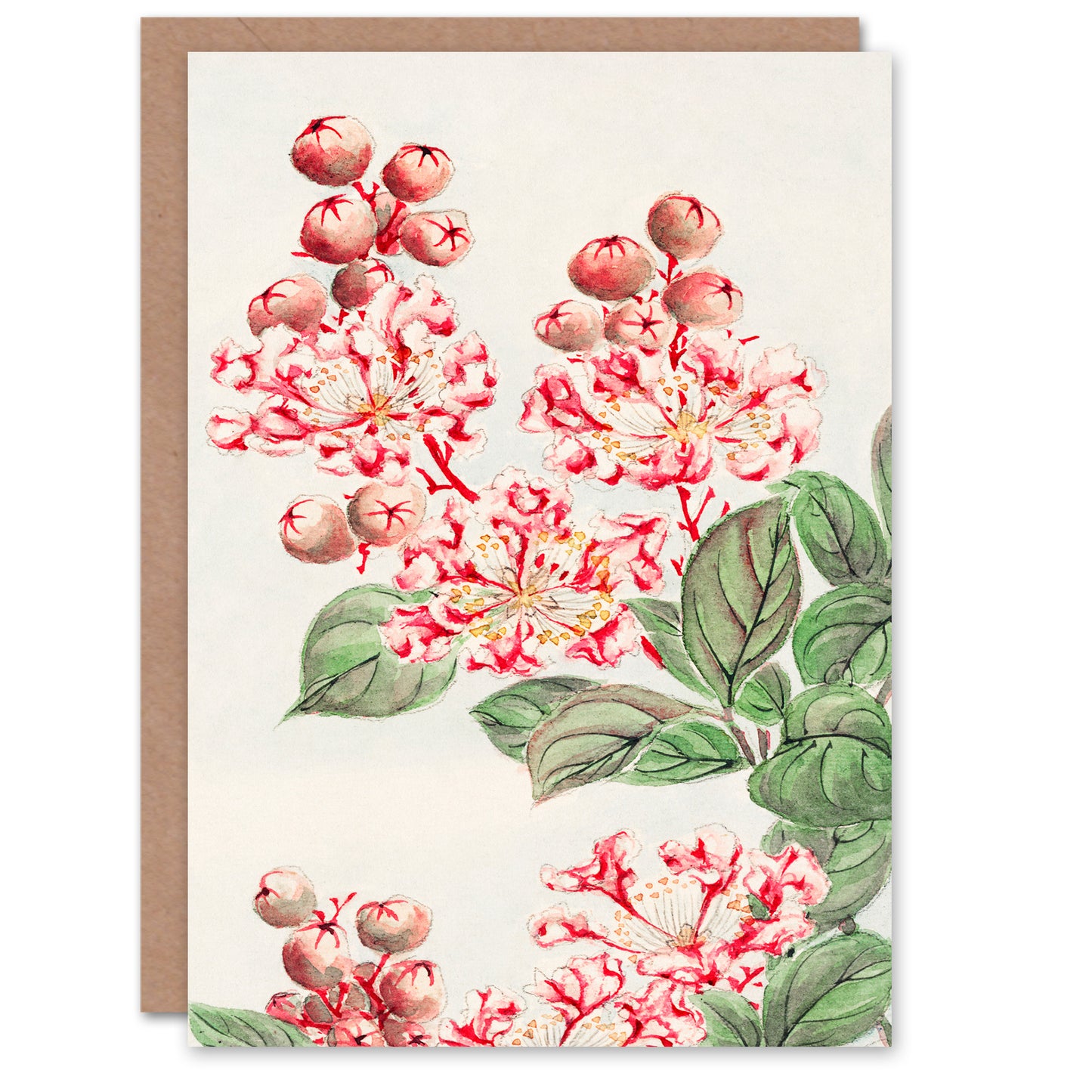 Megata Morikaga Blooming Myrtle Tree Flowers Greetings Card