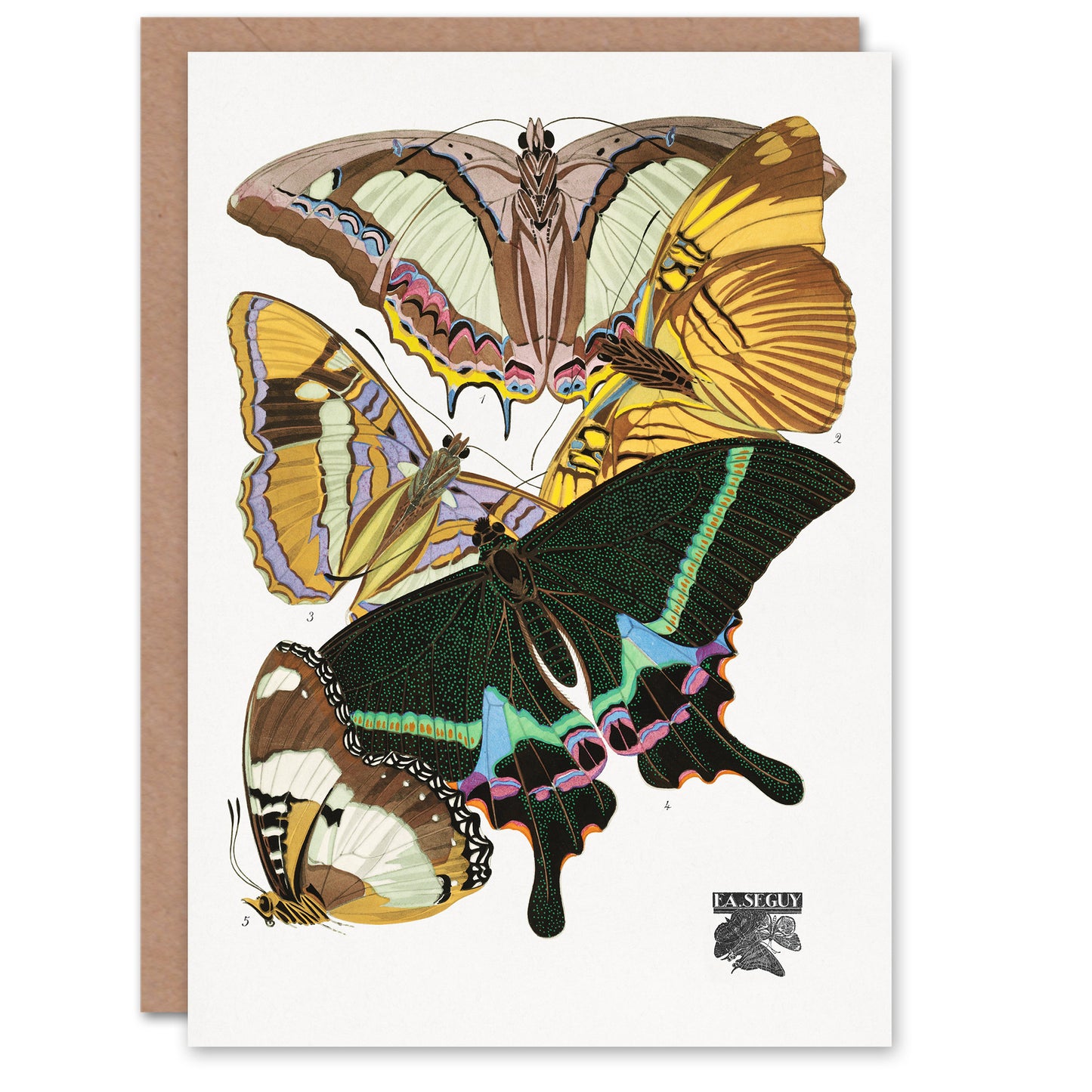 Eugene Seguy Bright Vintage Butterflies Papillons Greetings Card