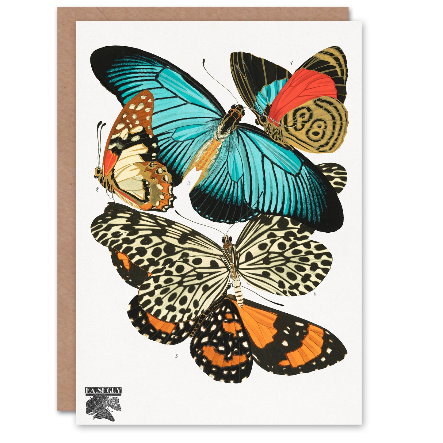 Eugene Seguy Vintage Butterflies Blue and Orange Greetings Card