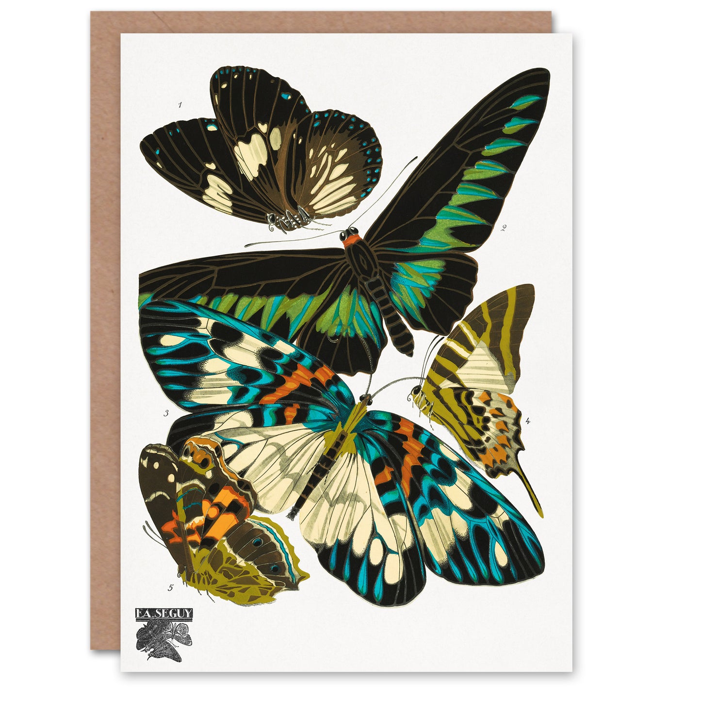 Eugene Seguy Vintage Butterflies Green Blue Greetings Card