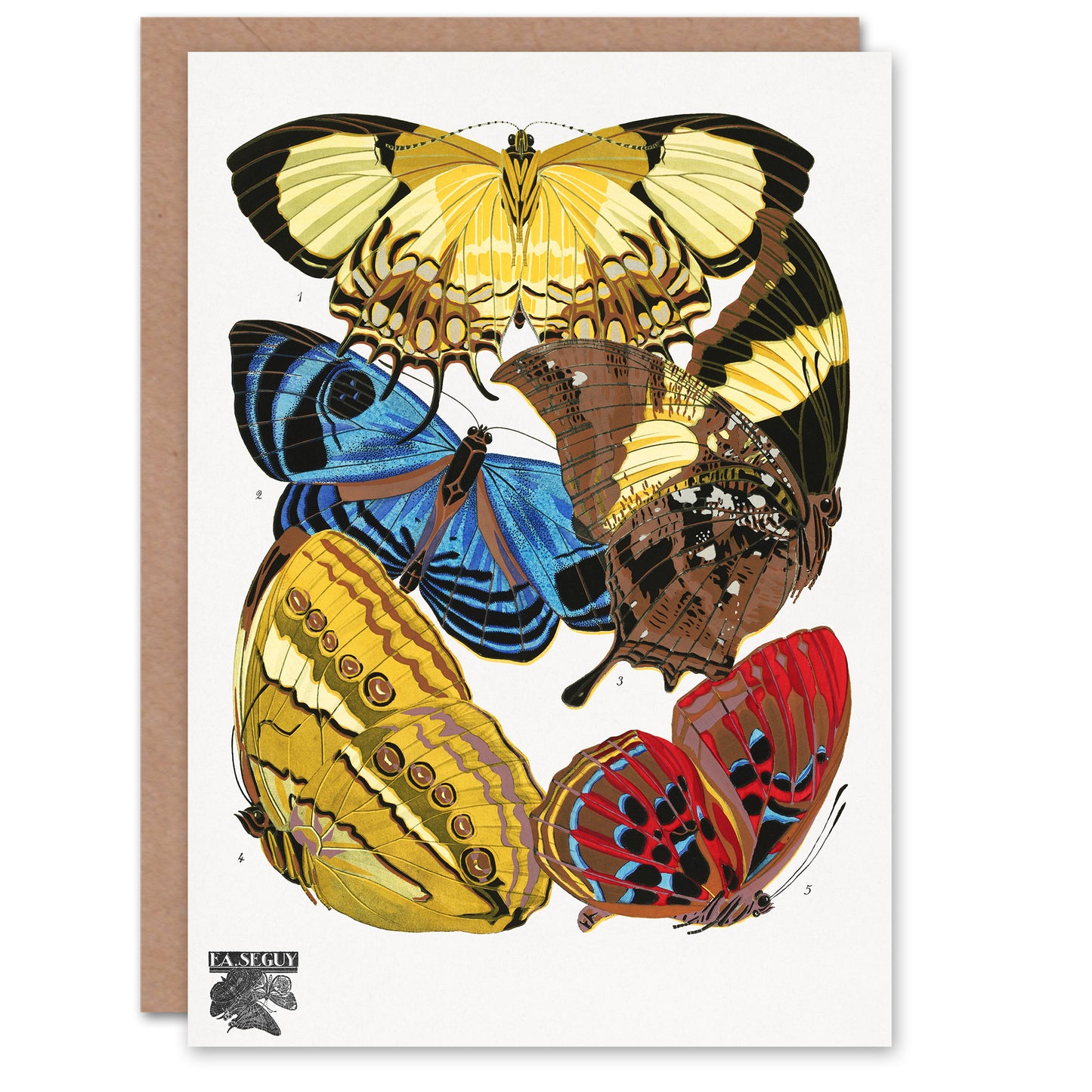 Eugene Seguy Vintage Butterflies Yellow Red Blue Greetings Card
