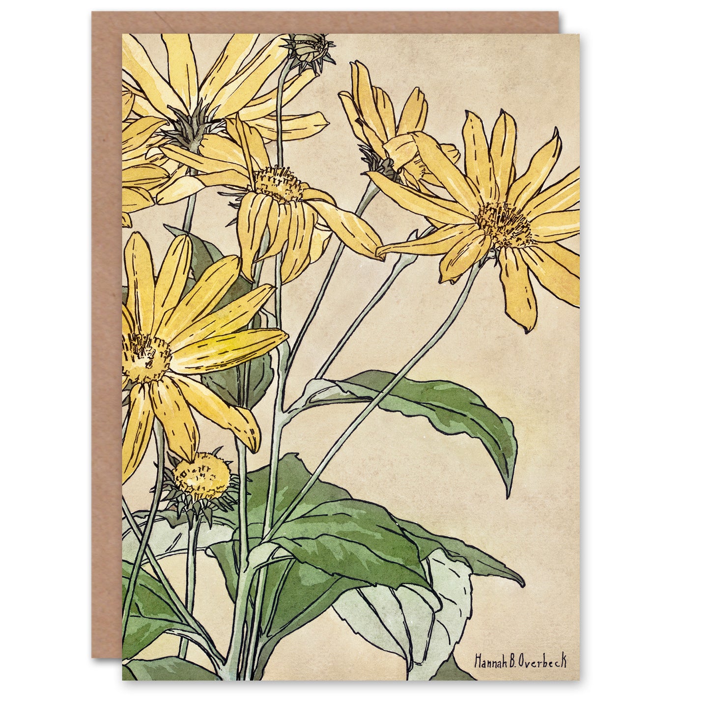 Hannah Borger Overbeck Sunflowers Watercolour Greetings Card