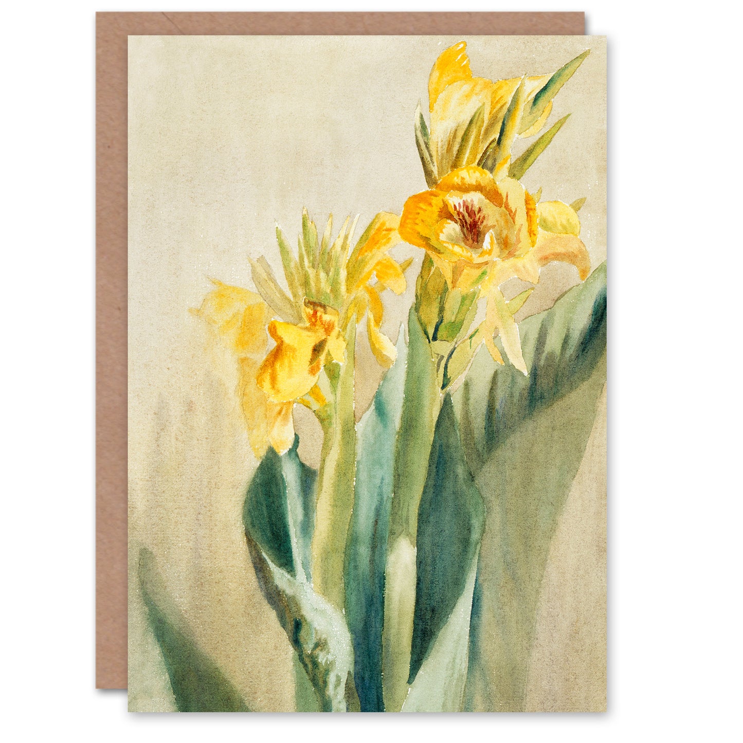 Hannah Borger Overbeck Yellow Canna Lily Flowers Greetings Card