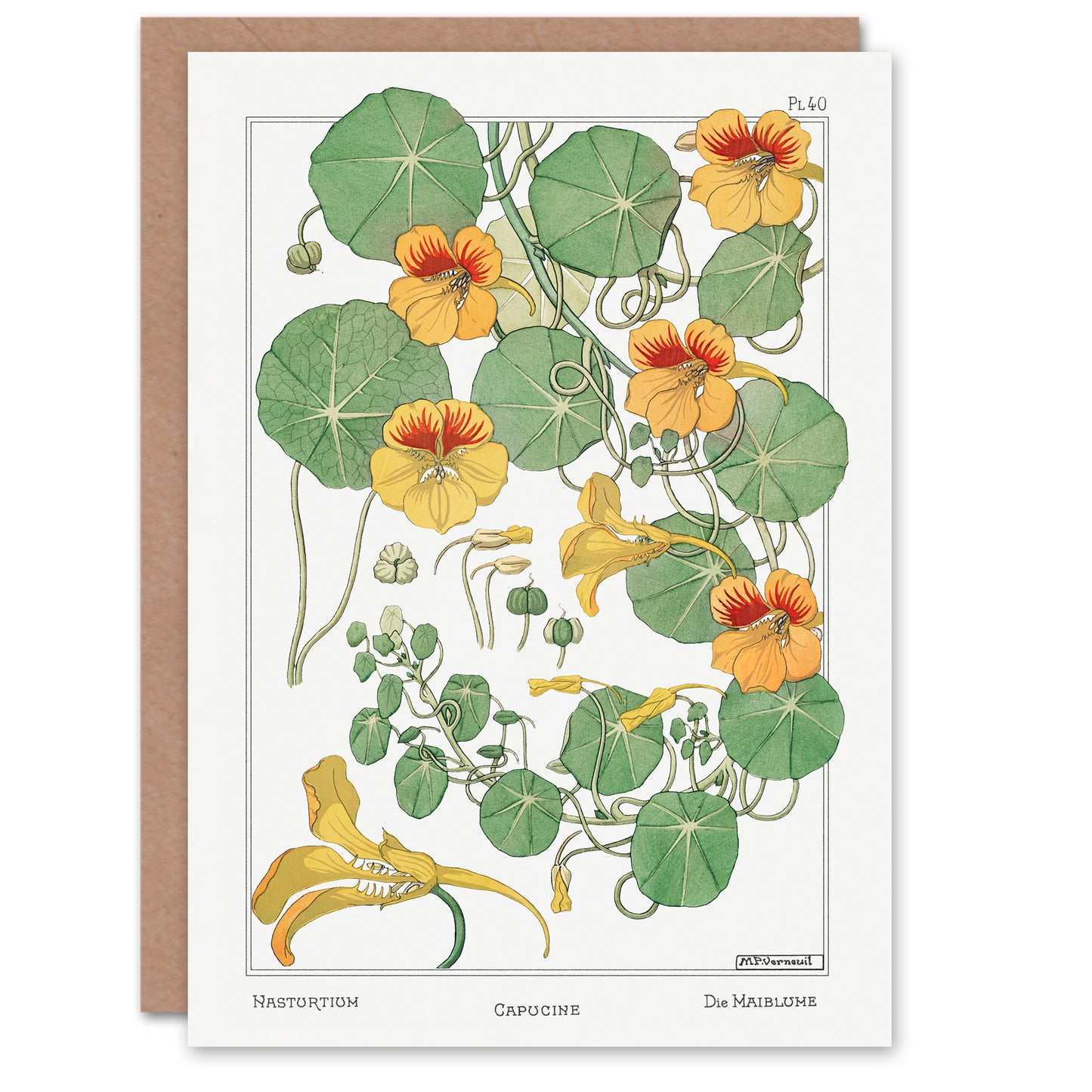 Maurice Pillard Verneuil Nasturtium Flower Greetings Card