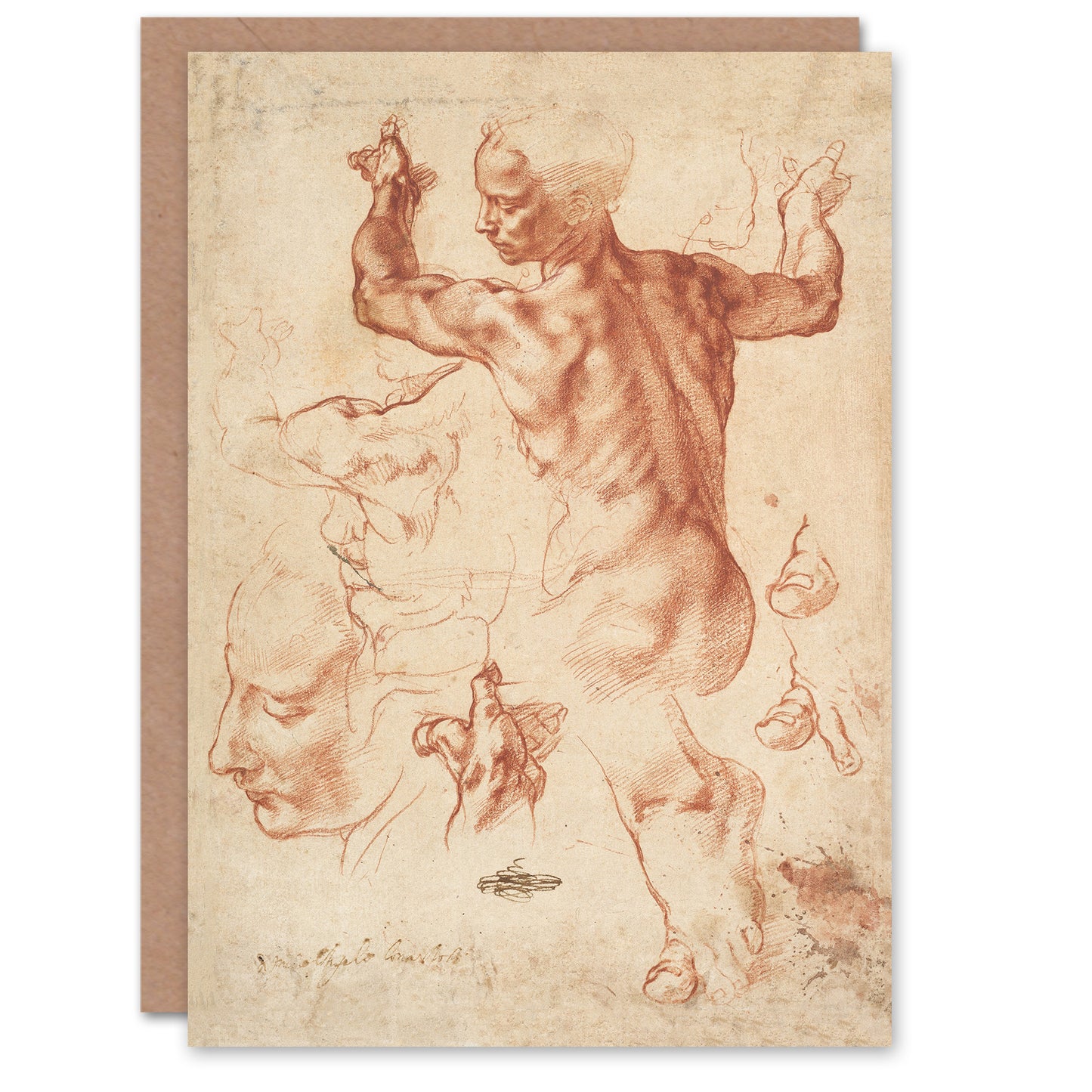 Michelangelo Buonarroti Studies for the Libyan Sibyl Greetings Card
