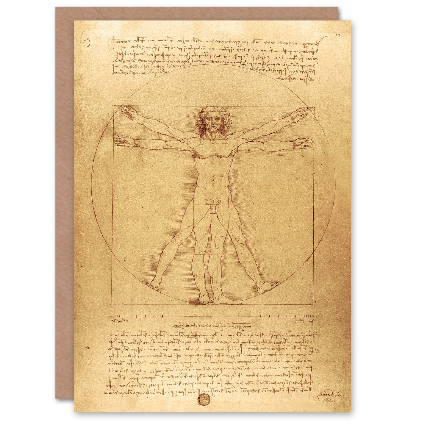 Leonardo da Vinci Art Card Vitruvian Man Drawing