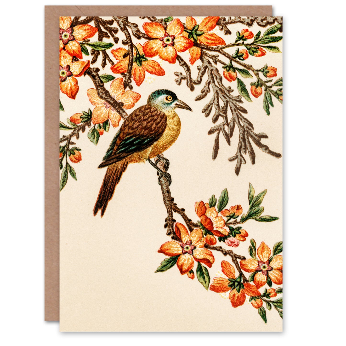 Albert Racinet Art Card Birds Flowers Chinese Pattern Detail