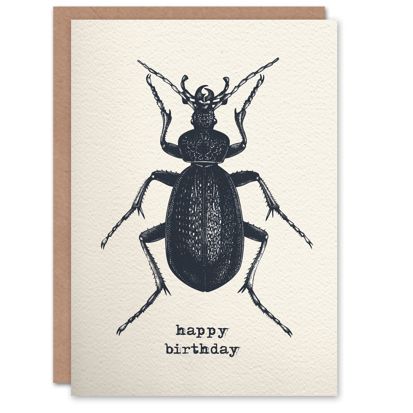 Beetle Drawing Vintage Style Creepy Crawly Birthday Card