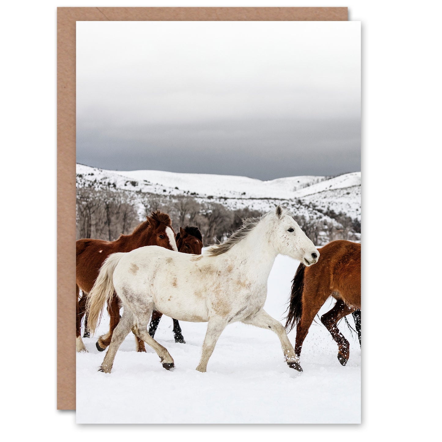 Carol M Highsmith Art Card Wild and Domesticated Horse Herd
