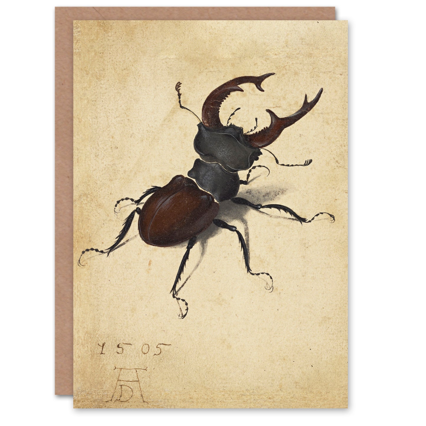 Albrecht Durer Art Card Stag Beetle Nature Study Painting