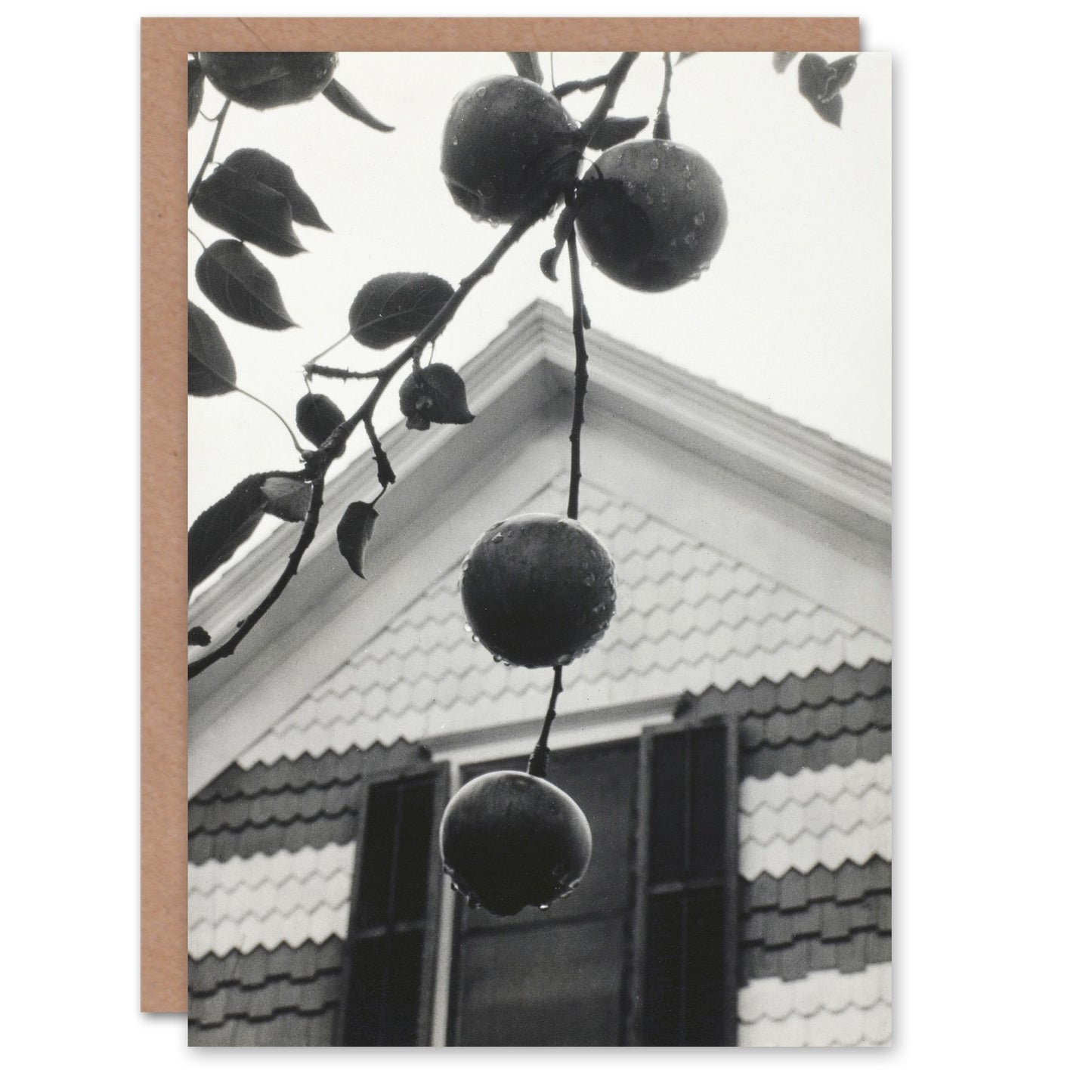Alfred Stieglitz Art Card Gable and Apples Vintage Photograph