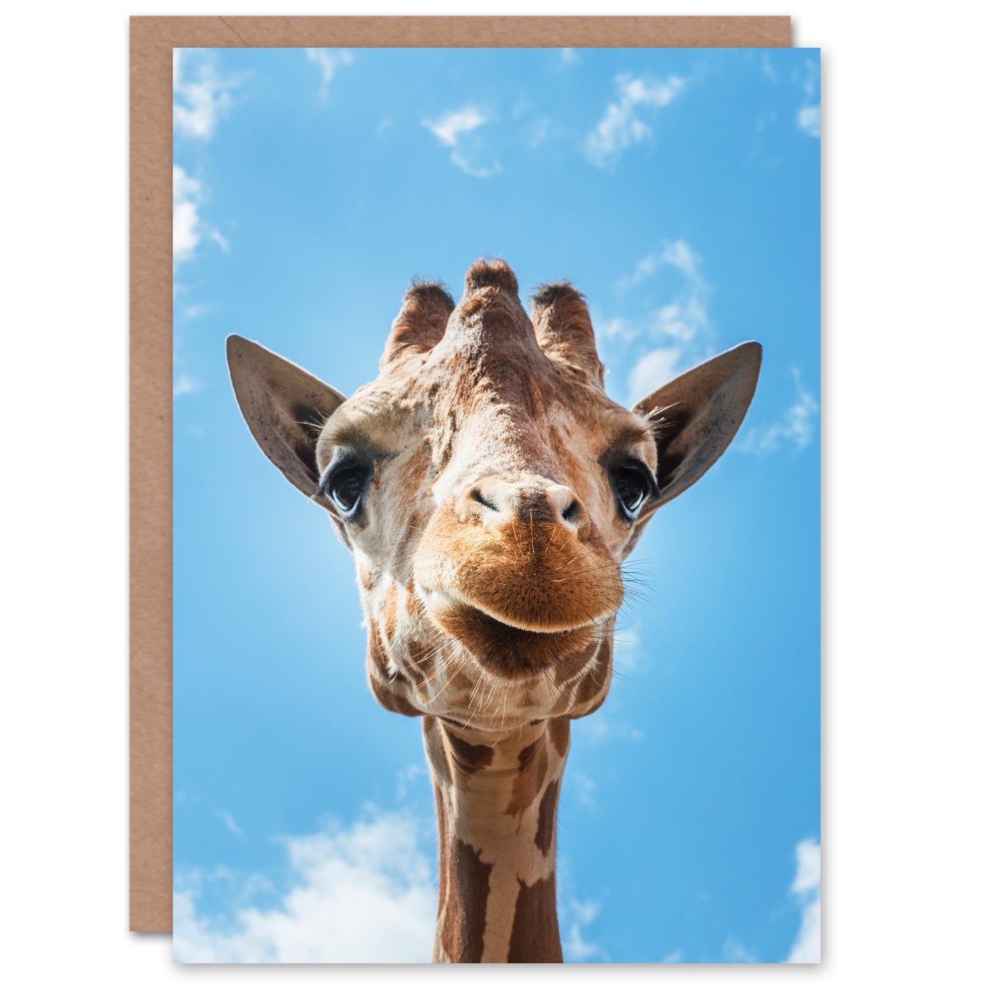 Carol M Highsmith Art Card Giraffe Head Up Close Look