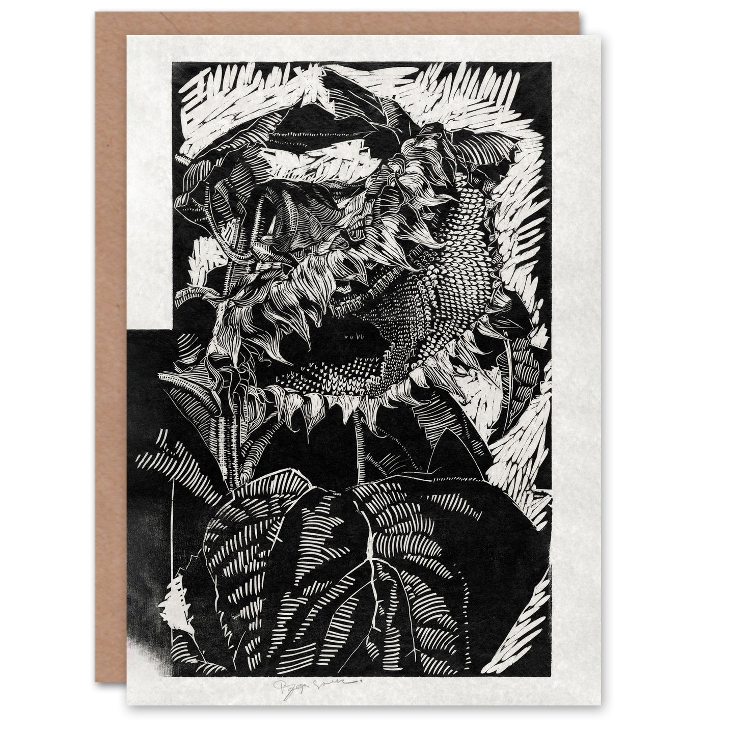 Reijer Stolk Art Card Sunflower Abstract Black White Flower