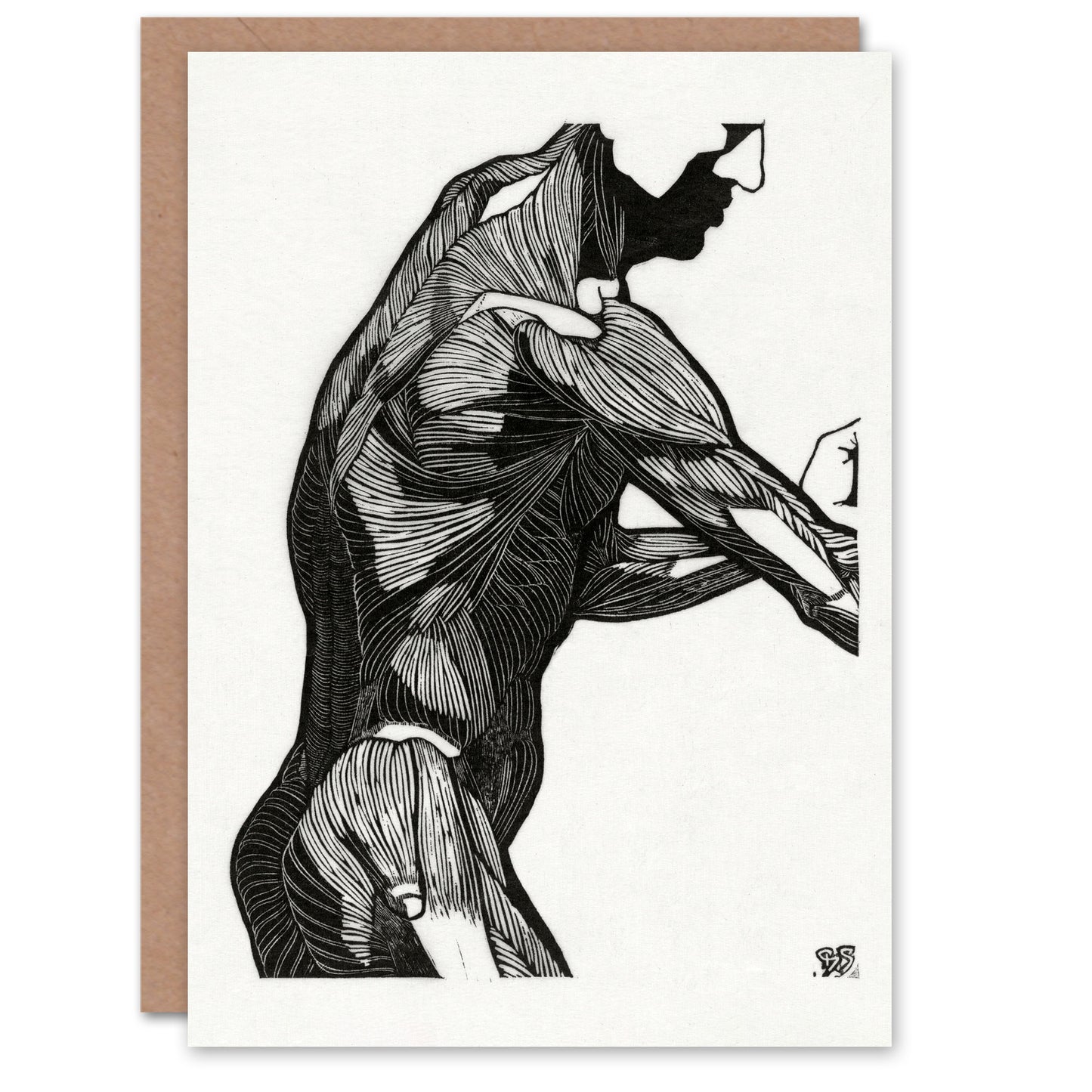 Reijer Stolk Art Card Anatomical Study Of a Mans Lateral Muscles