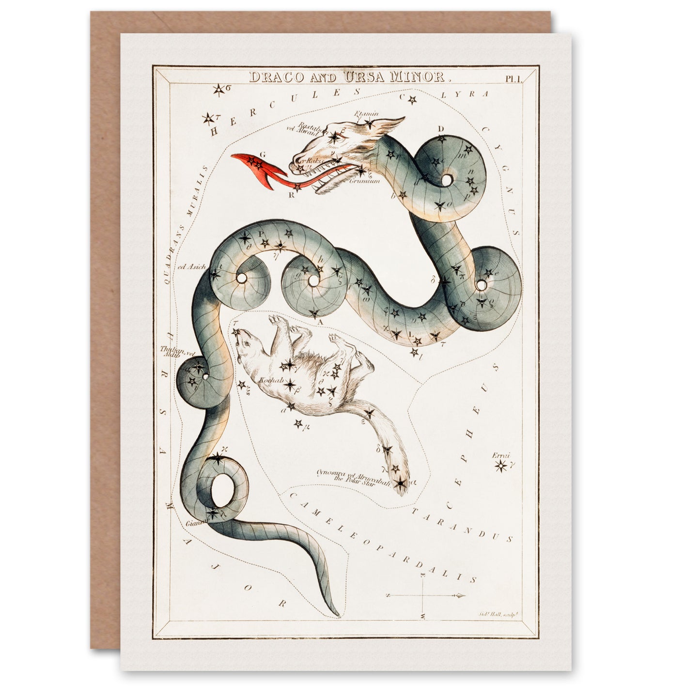 Sidney Hall Art Card Draco and Ursa Minor Constellation