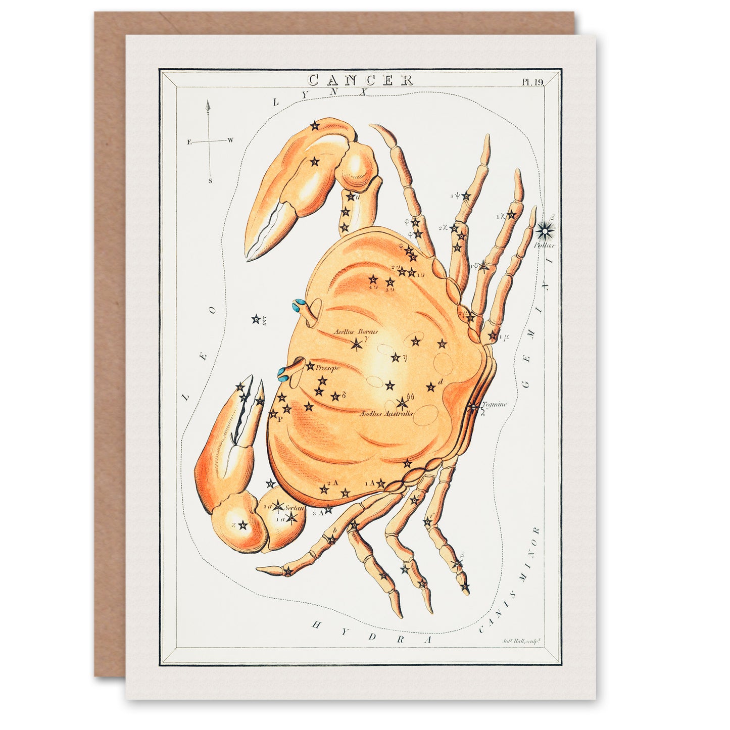 Sidney Hall Art Card Vintage Cancer Constellation Illustration