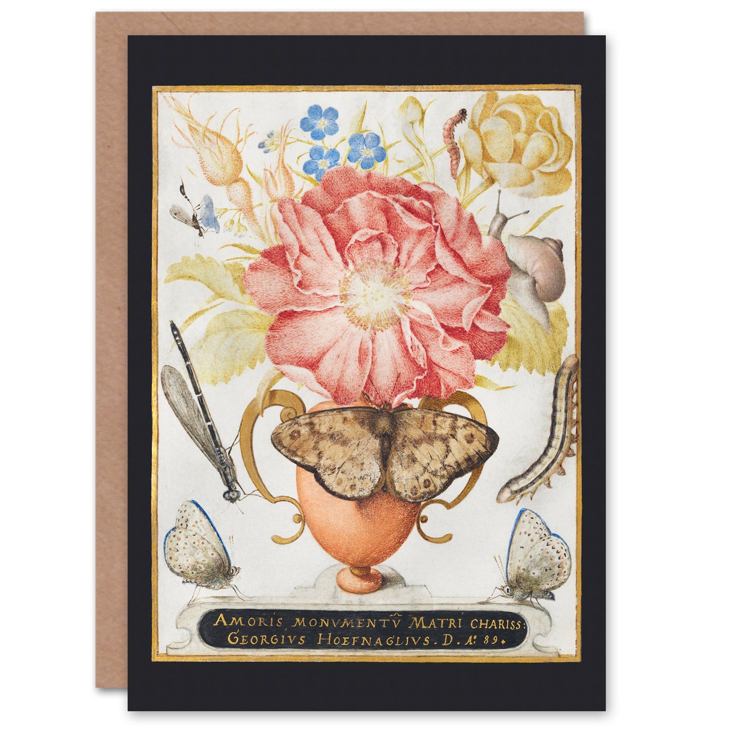 Joris Hoefnagel Art Card Flowers Snail Insects and Butterflies