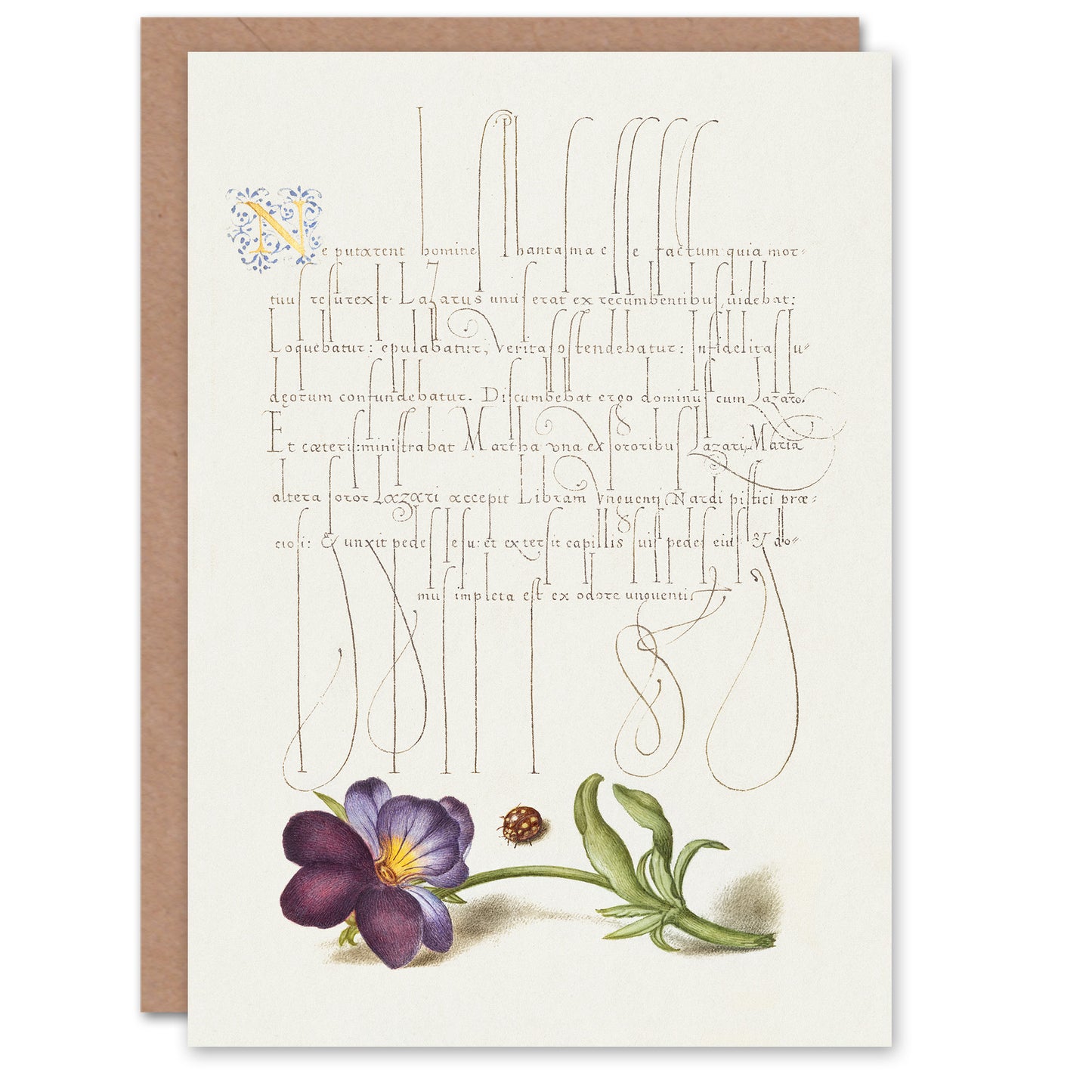Model Book of Calligraphy Art Card Ladybird and Wild Pansy