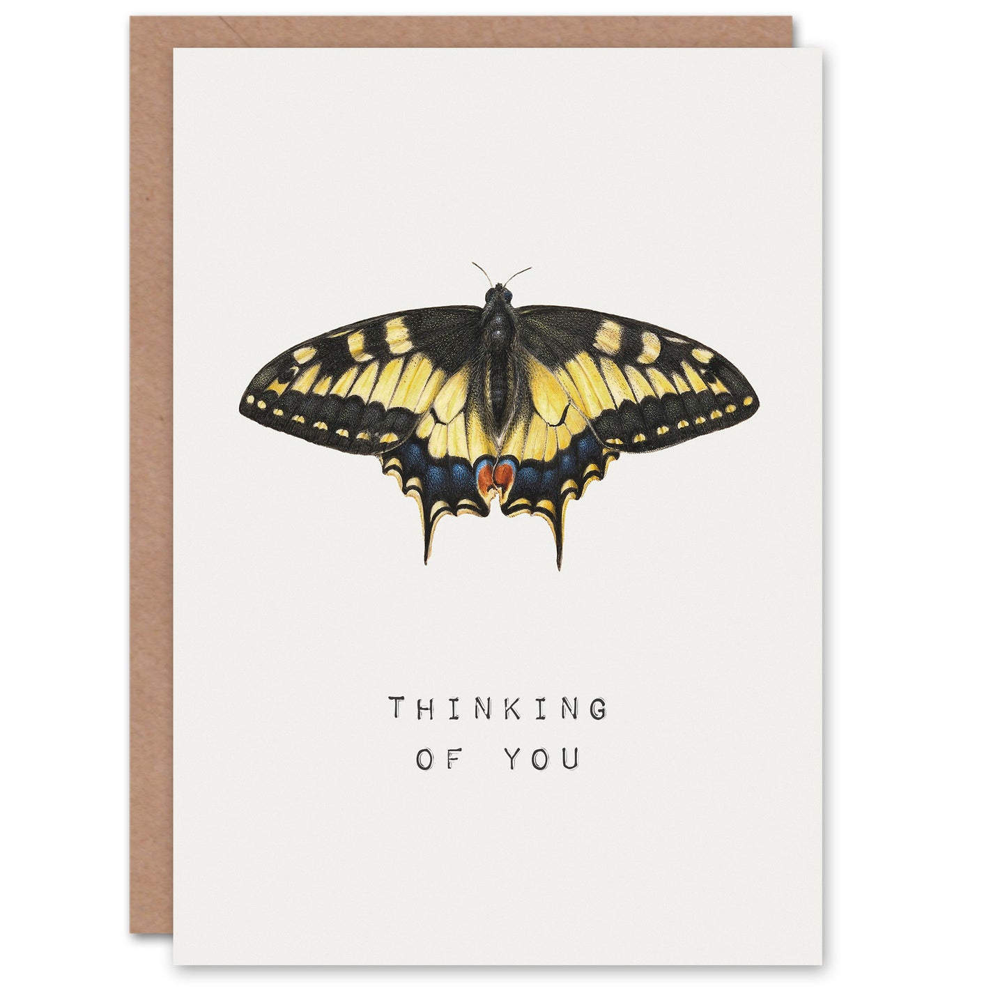 Hoefnagel Sympathy Card Yellow Swallowtail Butterfly Thinking Of You