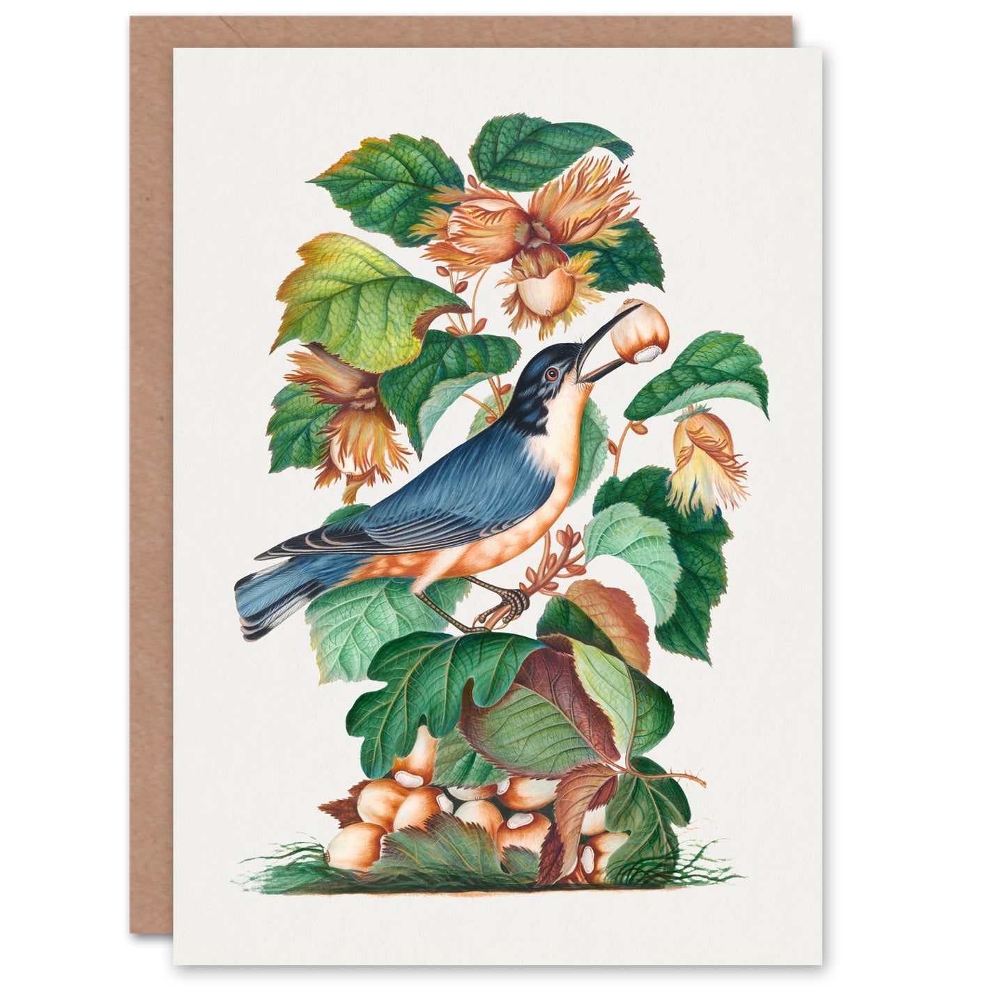 James Bolton Art Card Nuthatch Bird Hazel Oak and Bramble