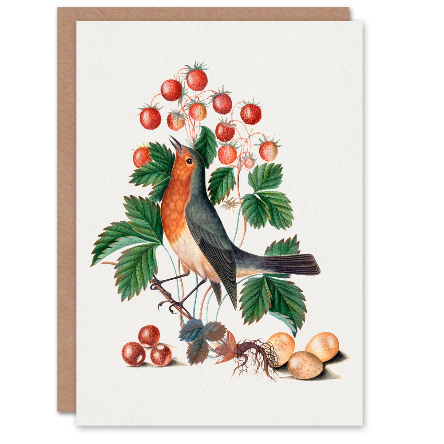 James Bolton Art Card Robin Bird and Wild Strawberry Plant