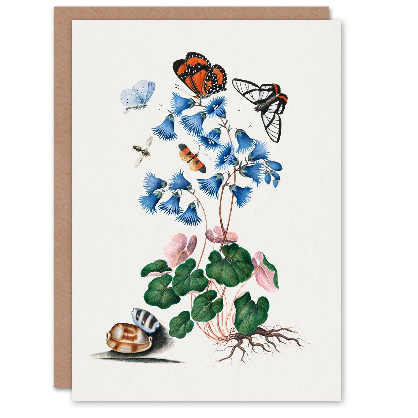 James Bolton Art Card Soldanella Flower and Butterflies
