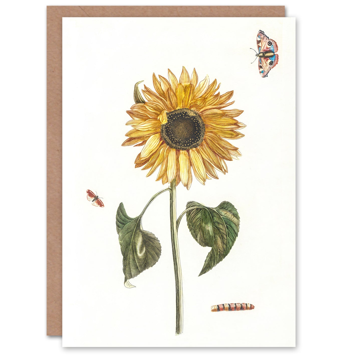 Teyler Art Card Sunflower Caterpillar And Two Butterflies