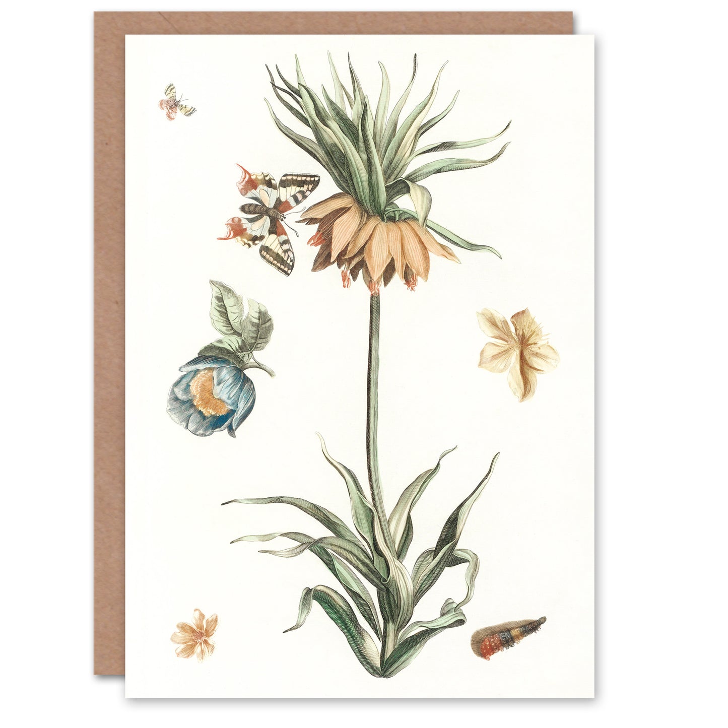 Johan Teyler Art Card Keizerskroon Tulip and Butterfly