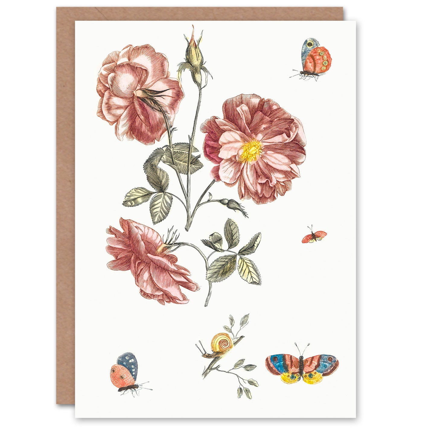 Johan Teyler Art Card Rose Flowers Butterflies and a Snail