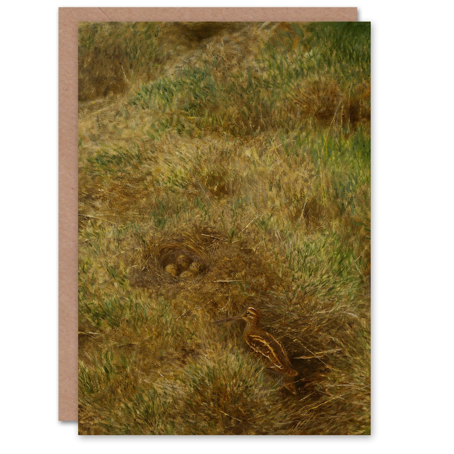 Bruno Liljefors Art Card Snipes Nest Mother Protects Eggs