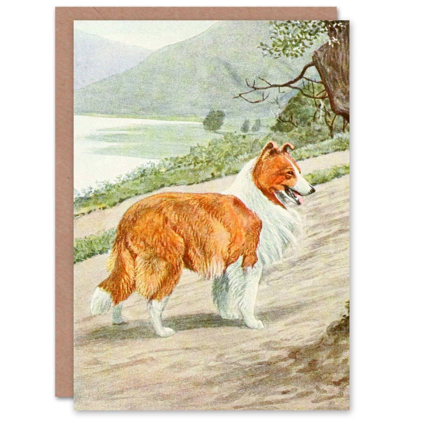 The Book of Dogs Art Card Collie Breed Vintage Illustration