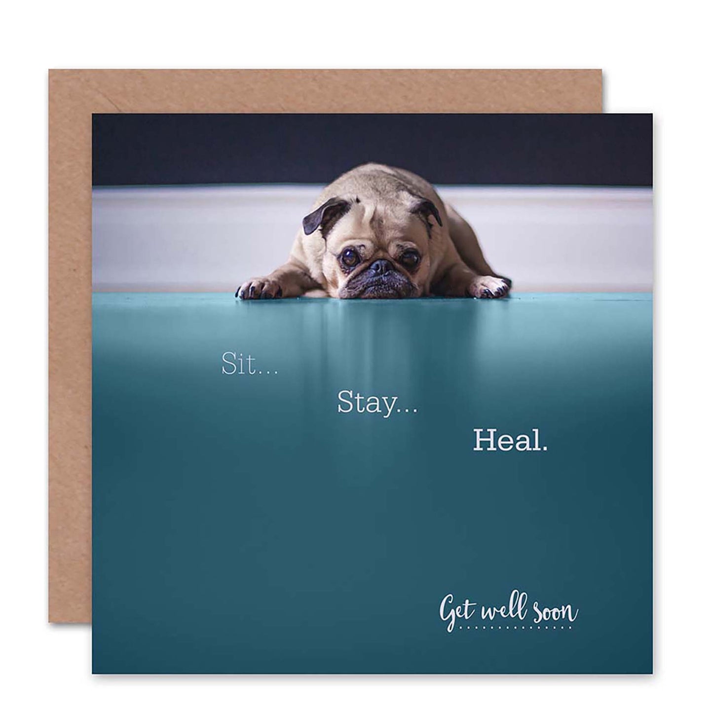 Sit Stay Heal Cute Dog Get Well Card