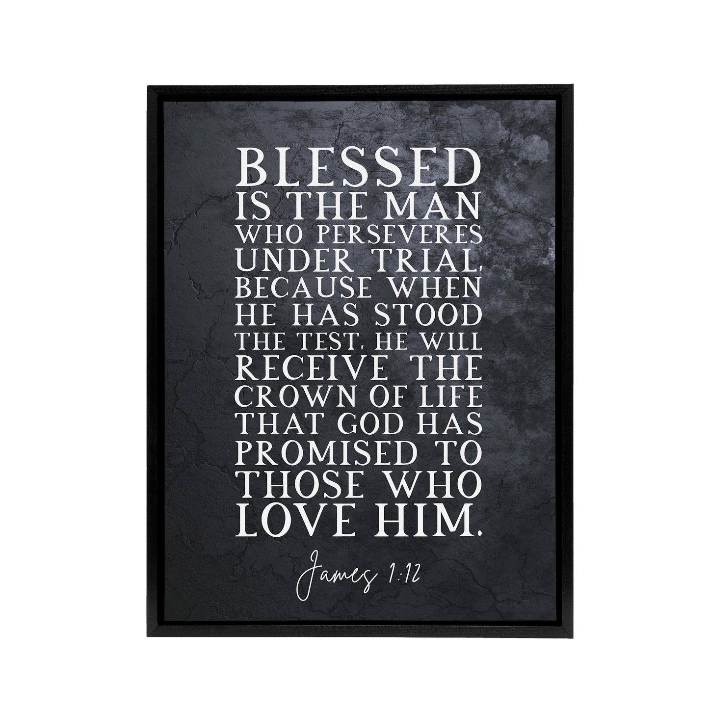James 1 12 Persevere Stood The Test Bible Quote Black Framed Canvas Art