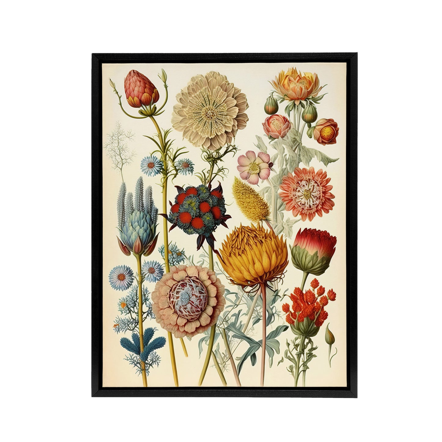 Ernst Haeckel Inspired Vintage Floral Black Framed Canvas Wall Art Print